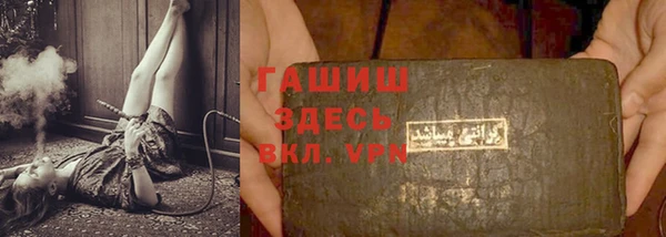 скорость Ельня