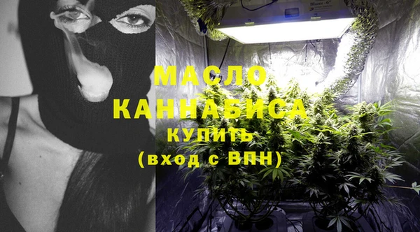 скорость Ельня
