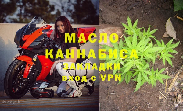 скорость Ельня