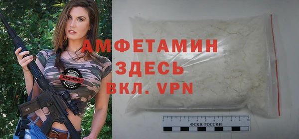 скорость Ельня