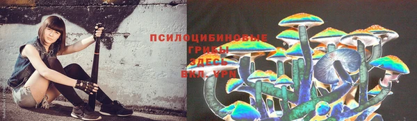 прущая мука Елизово