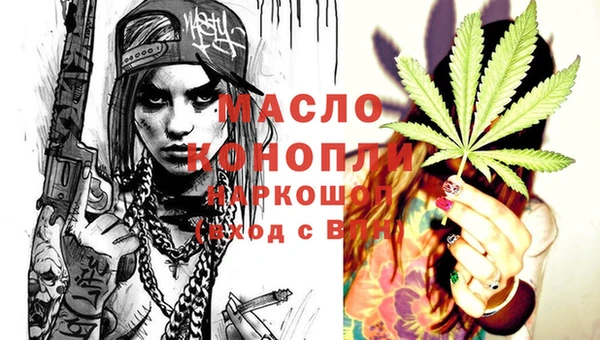 скорость Ельня