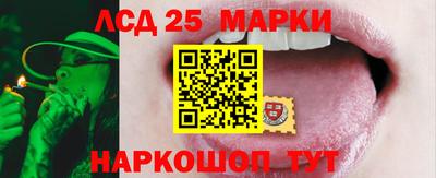 шишки Нарткала