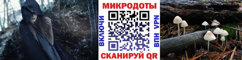что такое наркотик Искитим blacksprut сайт Псилоцибиновые грибы Magic Shrooms