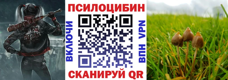Псилоцибиновые грибы мухоморы Искитим