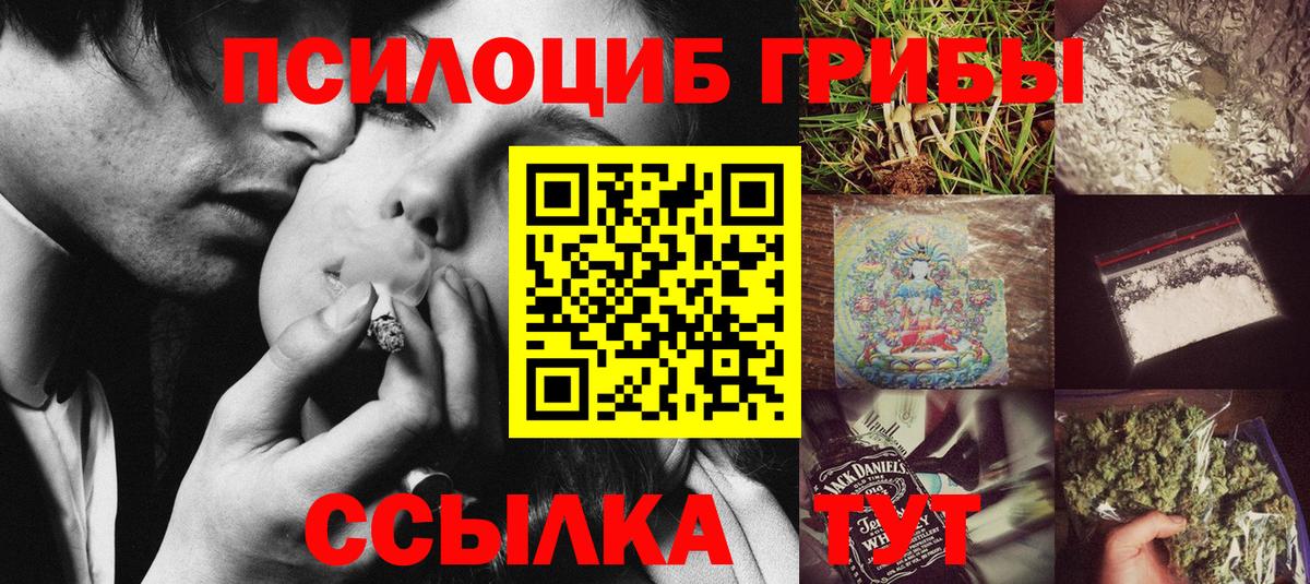 Искитим  Псилоцибиновые грибы MAGIC MUSHROOMS  Галлюциногенные грибы прущие грибы  Вход с VPN 
